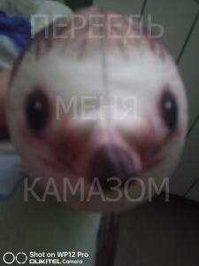 Никита
