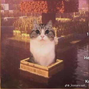 Комару