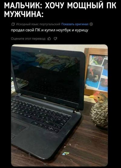Чёрный ноутбук HP на столе, рядом сидит пёстрая курица, текст: мальчик хочет мощный ПК, мужчина купил ноутбук и курицу