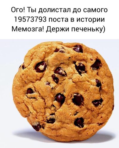На белом фоне крупным планом изображено шоколадное печенье с каплями шоколада, а сверху находится текст с шуткой про то, что пользователь долистал до конкретного поста в истории Мемозга и получил в на…